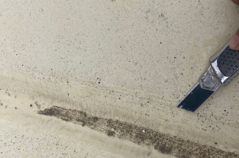 A06C5776-91F2-40FD-A1FF-CBDEC4780393